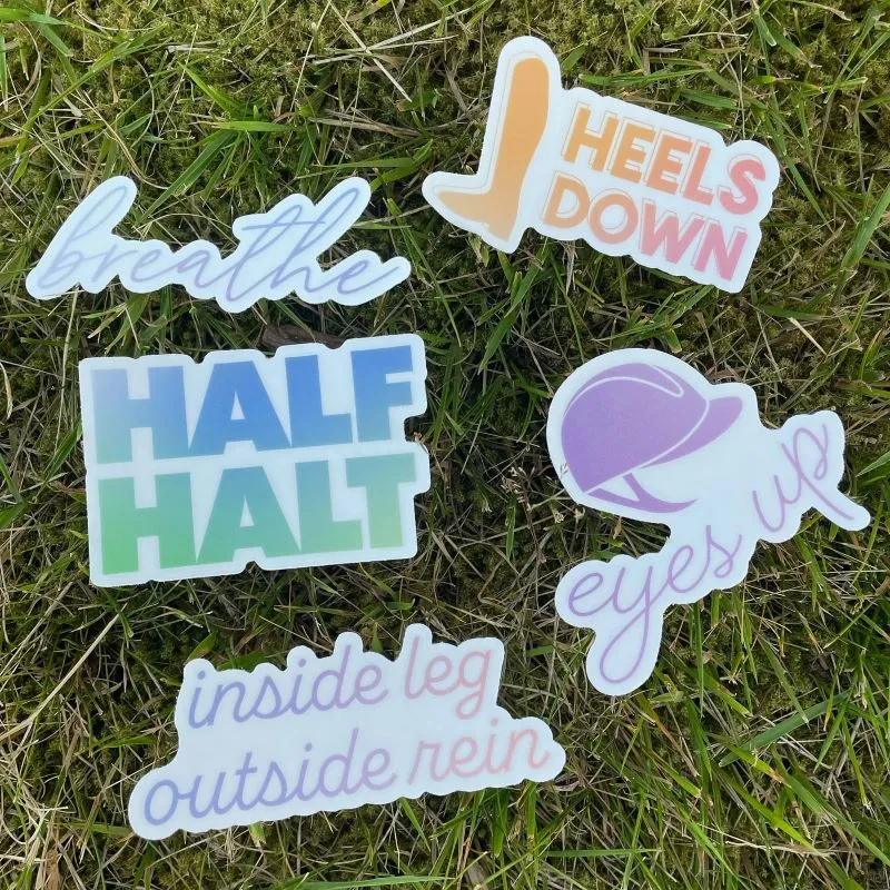 Dapplebay Trainer Saying Sticker Pack