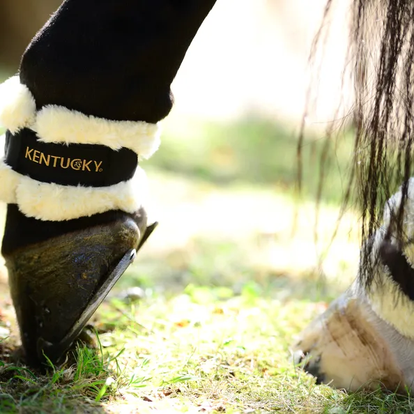 Kentucky Sheepskin Pastern Wraps