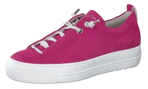 Paul Green 5017203- Trainer