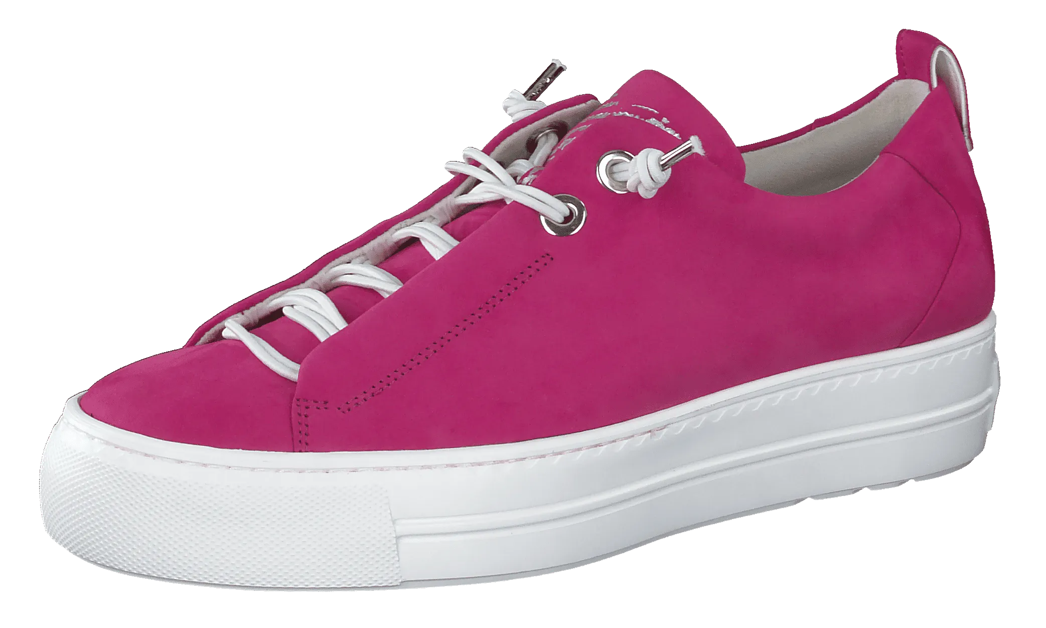 Paul Green 5017203- Trainer