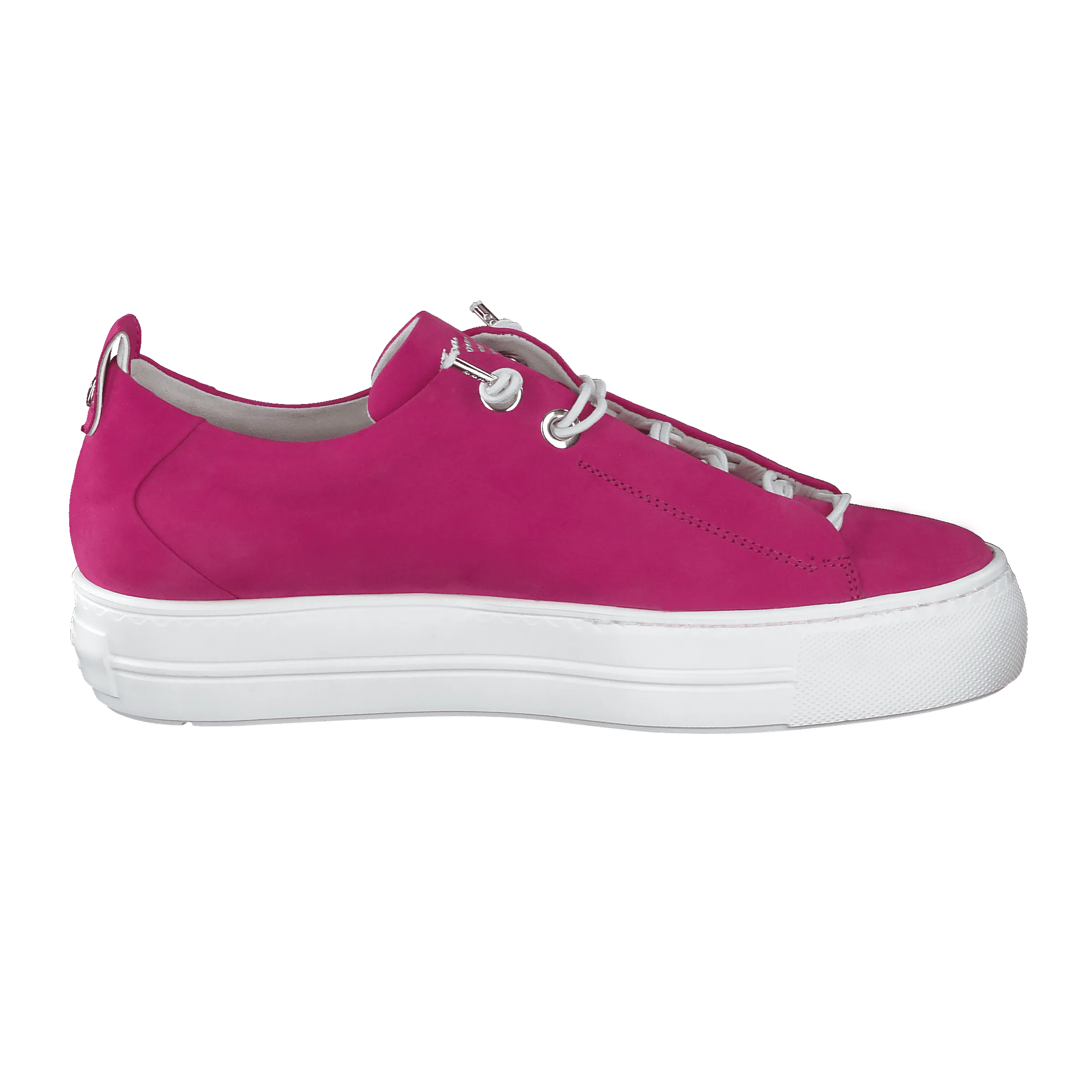 Paul Green 5017203- Trainer