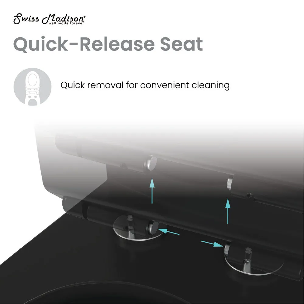 Sublime One-Piece Elongated Toilet Dual-Flush in Matte Black 1.1/1.6 gpf