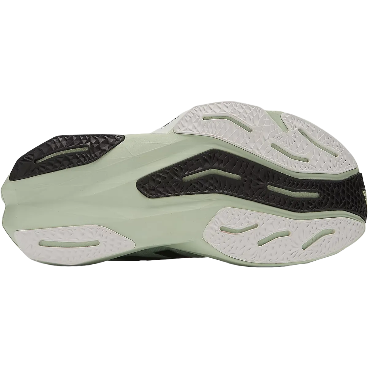 Women's Rebel v4